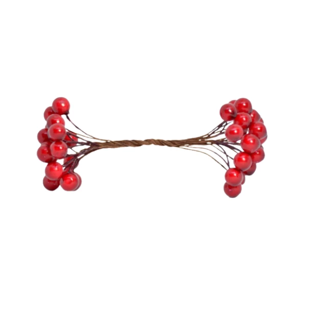 Jagódka czerwona, owoc głogu podwójna gałązka - około 40 owoców
