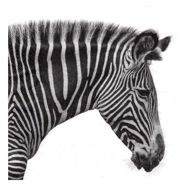 Serwetka - zebra