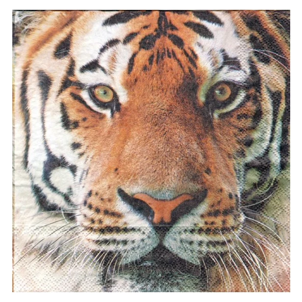 Serwetka - tygrys