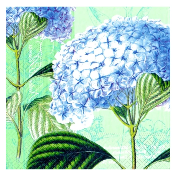 Serwetka - hortensje