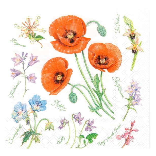 Serwetka - maki, polne kwiaty