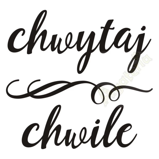 STEMPEL chwytaj chwile  7,1x6,8cm