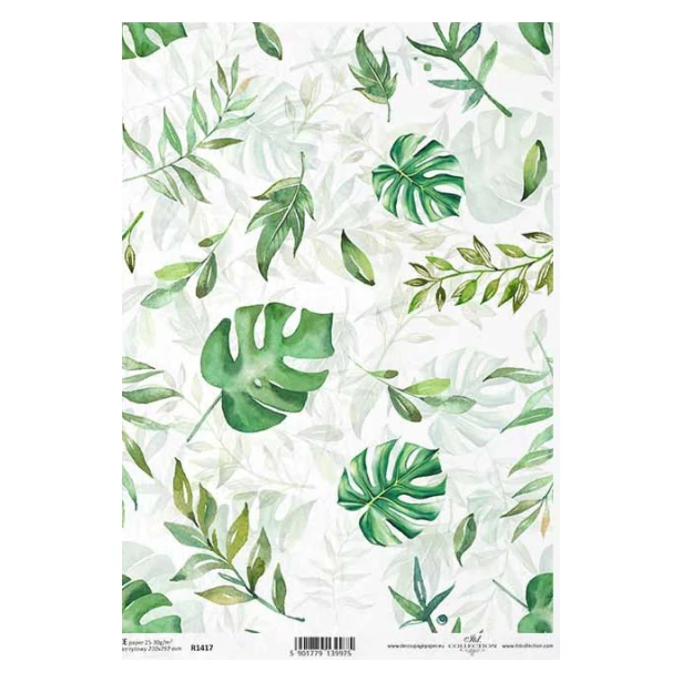 PAPIER RYŻOWY A4 -  Zielone liście, monstera