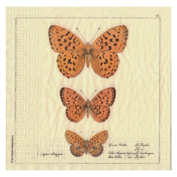 Serwetka - Motyle