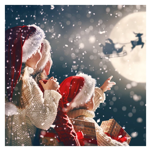 Serwetka - Święty Mikołaj, sanie, widok
