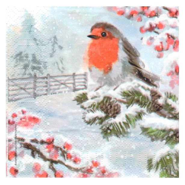 Serwetka mała  - zimowy ptaszek na gałęzi