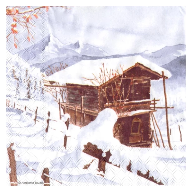 Serwetka - zimowy widok, góry, domek