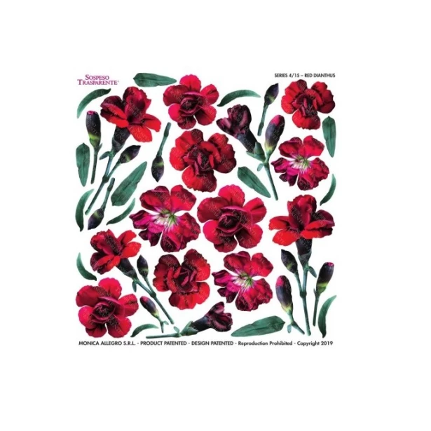 Sospeso - folia z nadrukiem - RED DIANTHUS