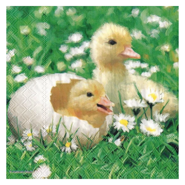 Serwetka - Kurczaczki