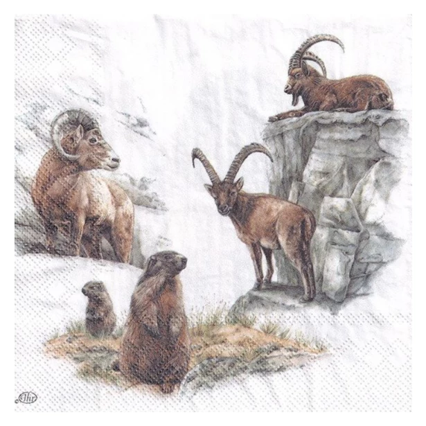 Serwetka - Górskie zwierzęta