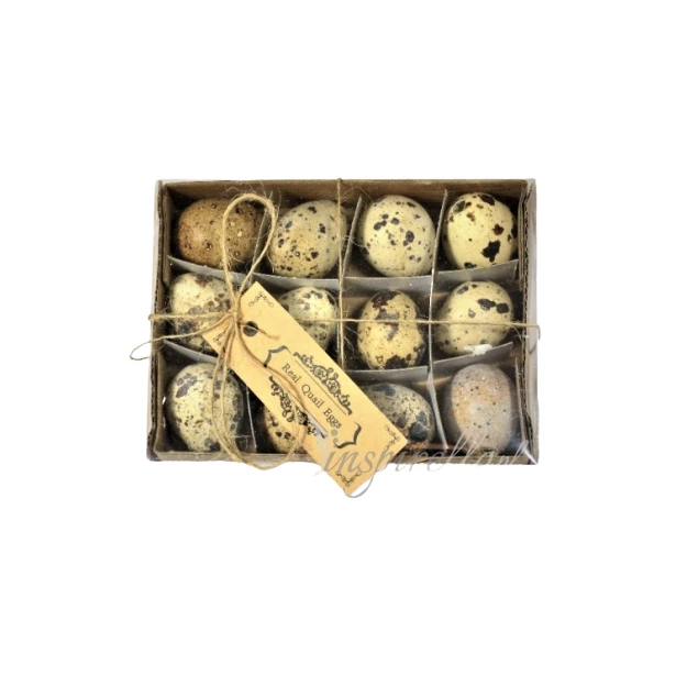 Wydmuszki przepiórcze około 3cm - 12 sztuk