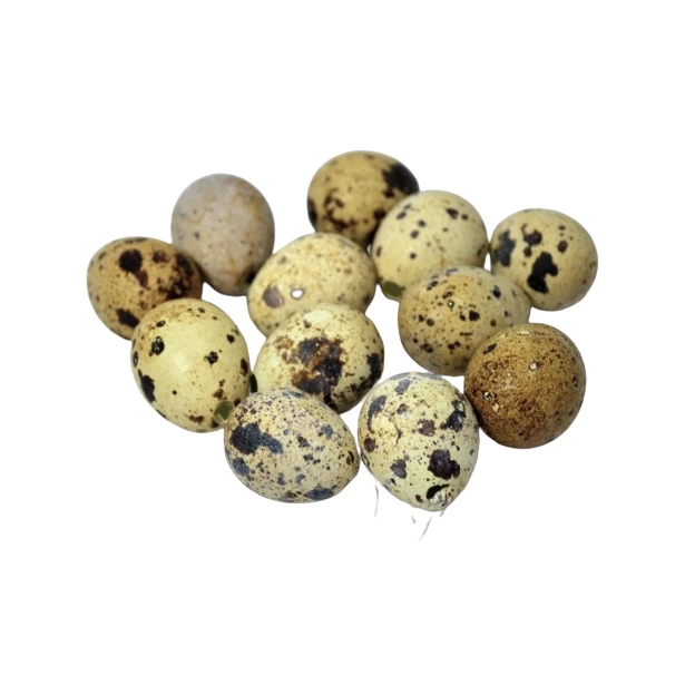 Wydmuszki przepiórcze około 3cm - 12 sztuk