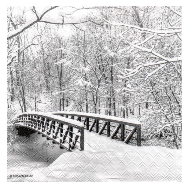 Serwetka - zimowy widok, most