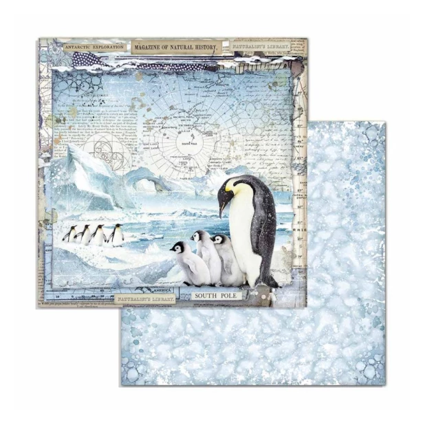 Bloczek papierów do scrapbookingu - 10 arkuszy  30x30 cm ARCTIC ANTARCTIC