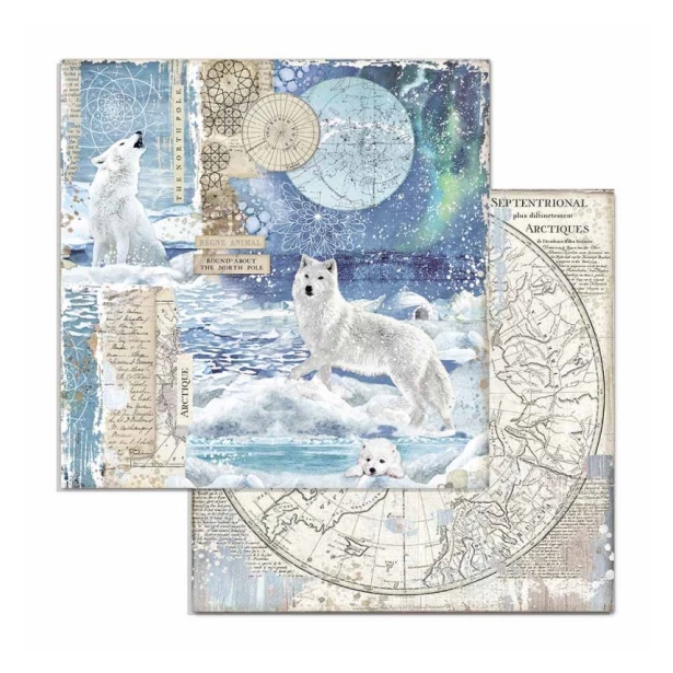 Bloczek papierów do scrapbookingu - 10 arkuszy  30x30 cm ARCTIC ANTARCTIC