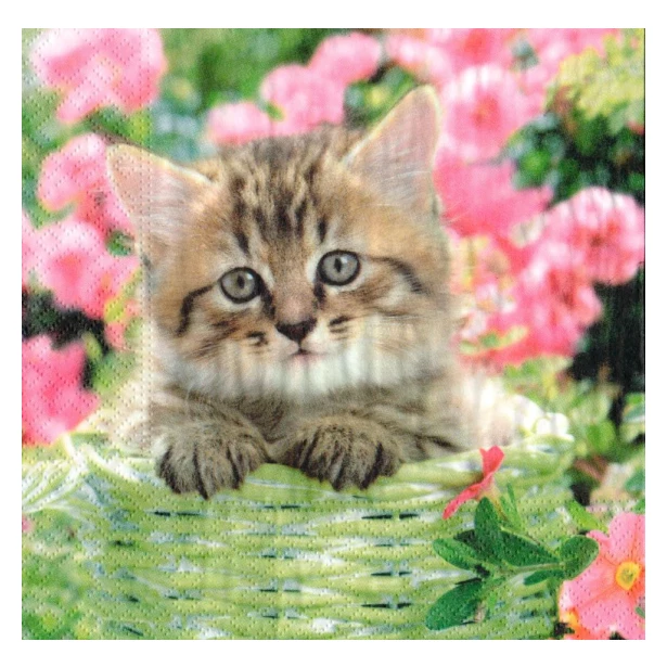 Serwetka - Kot, kwiaty
