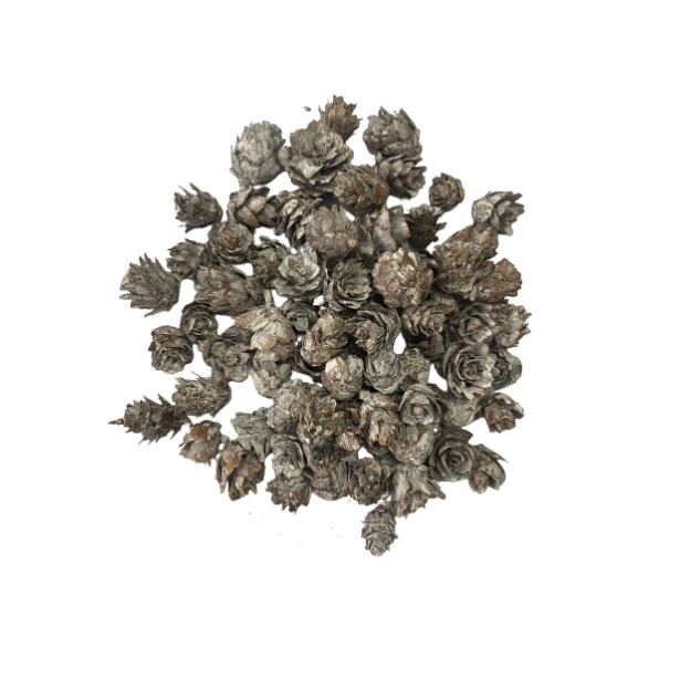 Malutkie szyszki naturalne bielone około 50-60 sztuk