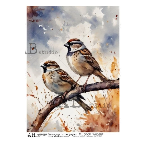 PAPIER RYŻOWY  A4 - ptaki, ptaszki, gałązka