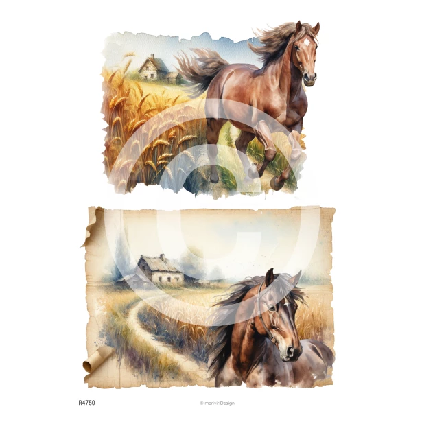 PAPIER RYŻOWY A4 - Koń, konie, widok