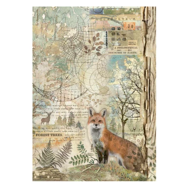 Papier ryżowy A4 - FOREST, LISEK
