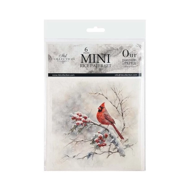 Zestaw papierów ryżowych 14,8x14,8cm  ptak, gałązka, zima