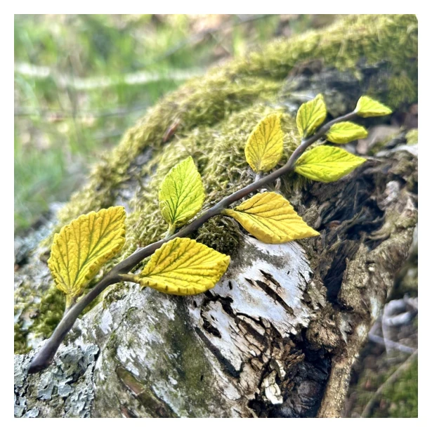 FOREMKA SILIKONOWA Gałązka z liśćmi 17x6,1cm