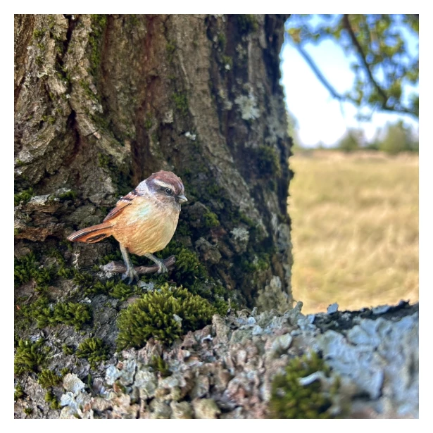 FOREMKA SILIKONOWA WIENIEC Z WRÓBELKIEM 13cm