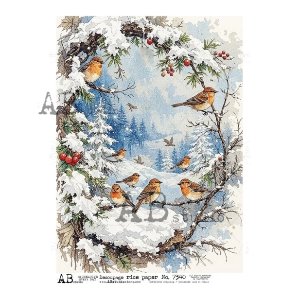 Papier ryżowy A4 - Boże narodzenie, widok, zima, ptaki