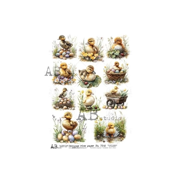 Papier ryżowy A4 - Kaczuszki, Wielkanoc