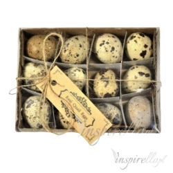 Wydmuszki przepiórcze około 3cm - 12 sztuk