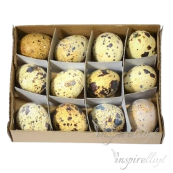 Wydmuszki przepiórcze około 3cm - 12 sztuk
