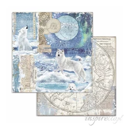 Bloczek papierów do scrapbookingu - 10 arkuszy  30x30 cm ARCTIC ANTARCTIC