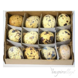 Wydmuszki przepiórcze około 3,6cm - 20 sztuk