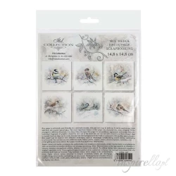 Zestaw papierów ryżowych 14,8x14,8cm  ptak, gałązka, zima