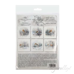 Zestaw papierów ryżowych 14,8x14,8cm  ptak, gałązka, zima