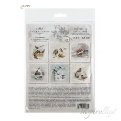 Zestaw papierów ryżowych 14,8x14,8cm Zimowe ptaszki